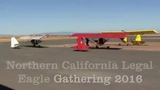 Northern California Legal Eagle Gathering 2016