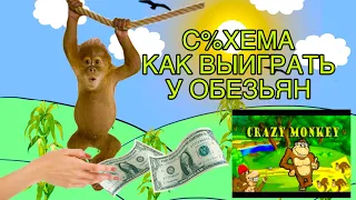 Как выиграть у обезьяны. Слот CRAZY MONKEY казино Вулкан.