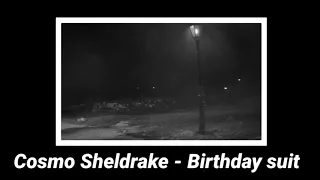 Cosmo Sheldrake - Birthday suit (slowed)