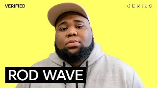 Rod Wave “Time Heals” Official Lyrics & Meaning | Verified