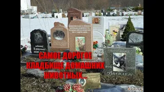 КЛАДБИЩЕ ДОМАШНИХ ЖИВОТНЫХ/САМОЕ БОЛЬШОЕ И ДОРОГОЕ КЛАДБИЩЕ ДОМАШНИХ ЖИВОТНЫХ/УНИКАЛЬНЫЕ ПАМЯТНИКИ..