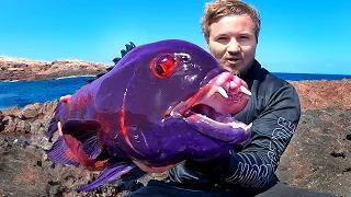 Most Unbelievable Fish Catches