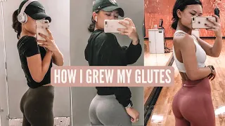 How I Grew My Glutes *crazy transformation* | nutrition, exercises, & more!