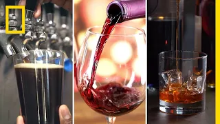 Alcohol 101 | National Geographic