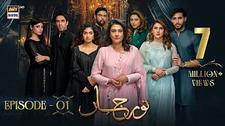 Noor Jahan Episode 1 | 25 May 2024 | ARY Digital Drama