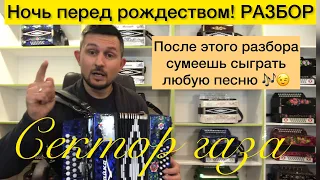 После этого разбора сыграешь ЛЮБУЮ песню! Сектор газа, Ночь перед рождеством. Разбор на гармони.