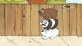 We Bare Bears 2014 Pilot: Spider!