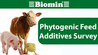 [WEBINAR] 2018 BIOMIN Phytogenic Feed Additives Survey