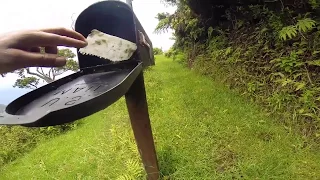 The Kohala Ditch Trail: 5.4 out of honopu'e: lunch time