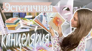 Покупаю эстетичную канцелярию в 11 класс | BACK TO SCHOOL 2021