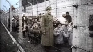 Children of Auschwitz & The Angel of Death