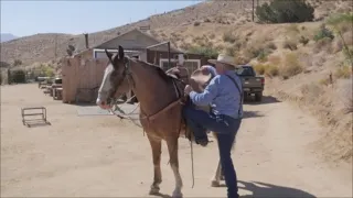 Teaching Your Horse to Stand Still While You Get On