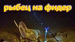 Как поймать крупного рыбца на фидер? Рыбалка на фидер ночью на реке с течением. Осенний фидер