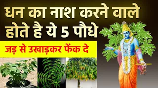 श्री कृष्ण कहते है इन 5 पौधों के कारण होता है धन समाप्त तुरंत उखाड़ कर फेक दे | Vastu tips