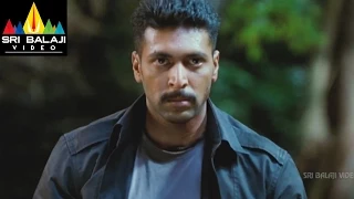 Ranadheera Movie Forest Fight Scene | Jayam Ravi, Saranya Nag | Sri Balaji Video