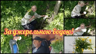 К роднику за водой💧#родниковаявода