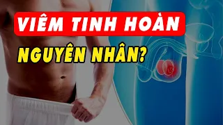 Những nguyên nhân gây viêm tinh hoàn