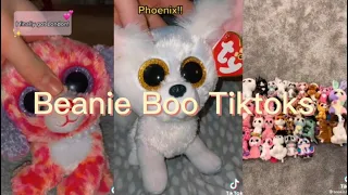 Beanie Boo Tiktoks 💞 | Funny and cute - ! 🌟