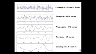 11.21.1 Подробное разъяснение. Волны ЭЭГ. Часть первая