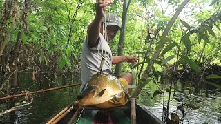 ADRENALINA TOTAL! PESCA COM ARCO E FLECHA