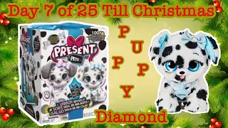 Present Pets Blue Box Surprise Diamond Puppy/ Day 7 Of 25 Till Christmas!