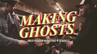 Making Ghosts By Great Peacock feat. Steve'n'Seagulls (LIVE)