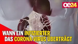 Studie: Wann ein Infizierter das Corona-Virus überträgt