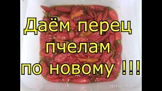 Даём перец пчелам по новому !!!