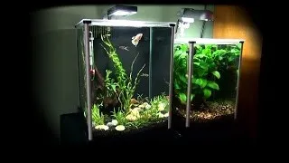 Fluval Spec 2.6 Gallon: Unboxing, Setup, and Comparison