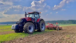 Podmítka 2023 | Case Optum 300 AFS & Horsch Terrano 5 FX