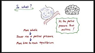 Blood:Gas Partition Coefficients