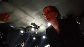 Radio Birdman - TV Eye (The Stooges cover) - live @ sPAZIO211 28/10/18