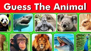 Guess The Animal Name in 5 seconds | Impossible to Guess 11/31 Questions