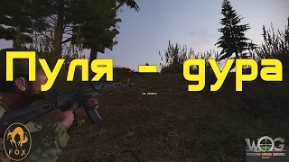 Arma 2 WOG Пуля - дура