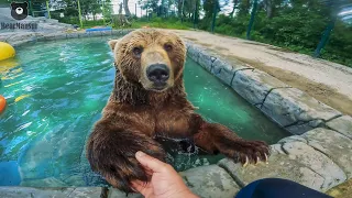 Водичка в бассейне Мансурки просто класс🐻🌊