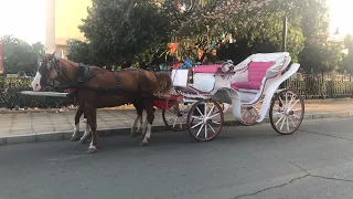 Caminhando pelas ruas da Bulgária