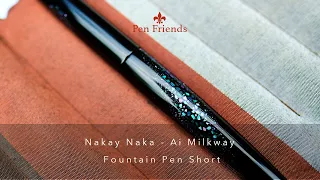 Nakaya Naka-Ai  Milkyway Fountain Pen