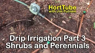 How to Install Drip Irrigation - Part 3 Shrubs and Perennials