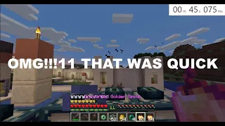 fake minecraft speedruns in a nutshell #3