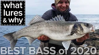 Best Bass 2020. What Lures & Why. Seabass Fishing Ireland