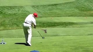 Trump golfing meme