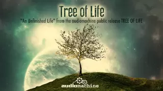 Audiomachine - An Unfinished Life