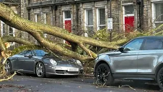 120mph Winds Tear Down Trees As Storm Otto Hits The UK Today 🇬🇧 February 17 2023 Harrogate