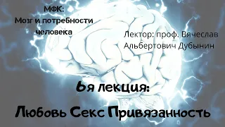 6я лекция Любовь Секс Привязанность Вячеслав Дубынин