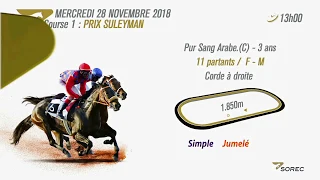 Live Hippodrome « El Jadida » | Courses du « 28/11/2018 »