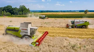 NEW Claas Lexion 6700- Žně 2020- FIRE IN THE FIELD- 4x Claas Lexion, 2x Case Puma