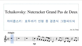 차이콥스키: 호두까기 인형 중 결혼식 그랑파드되 바이올린 편곡 Tchaikovsky: Nutcracker Grand Pas de Deux for Violin