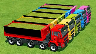 CUT SUNFLOWERS AND MAKE CHAFF WITH HOLMER FORAGE HARVESTER AND FENDT TRACTORS - Farming Simulator 22