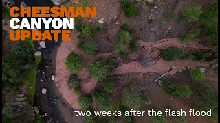 CHEESMAN CANYON UPDATE // 2 Weeks After the Flash Flood