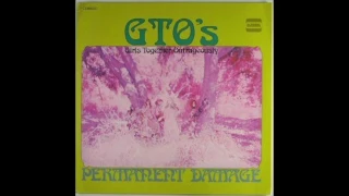 GTOs - Do Me in Once and I'll Be Sad, Do Me in Twice and I'll Know Better (The Circular Circulation)